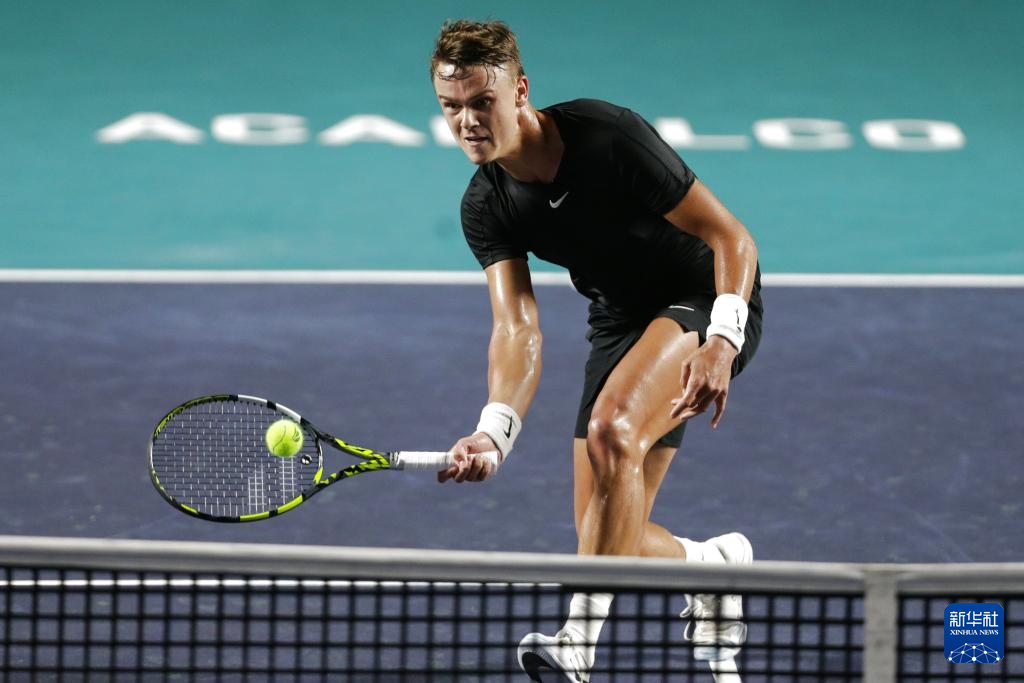 动山东的体 动山东的体