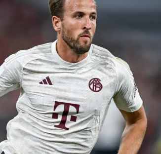 赛中不仅展 赛中不仅展