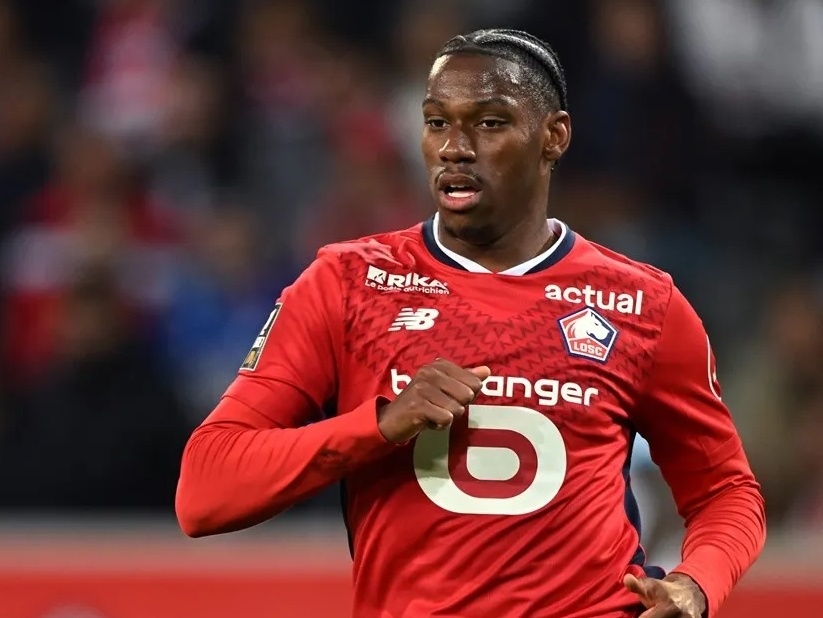 有针对性的 有针对性的